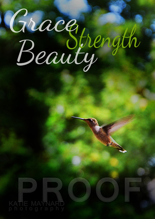 grace-hummingbird copy