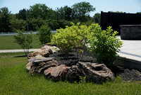 KRM_6952